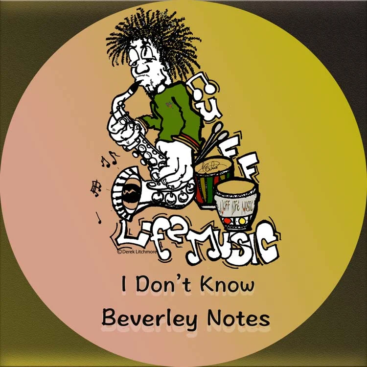 Sleeve for I Don't Know